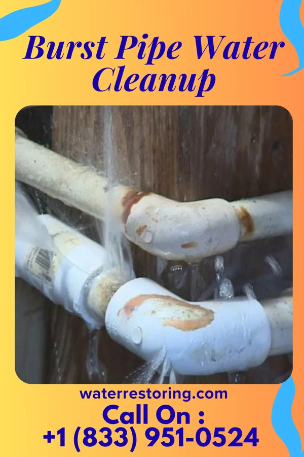 Burst Pipe Water Cleanup in East Hills, NY