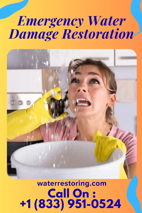 Emergency Water Damage Restoration in East Hills, NY