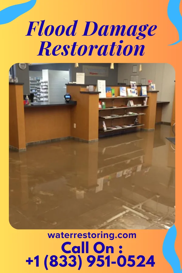 Flood Damage Restoration in East Hills, NY