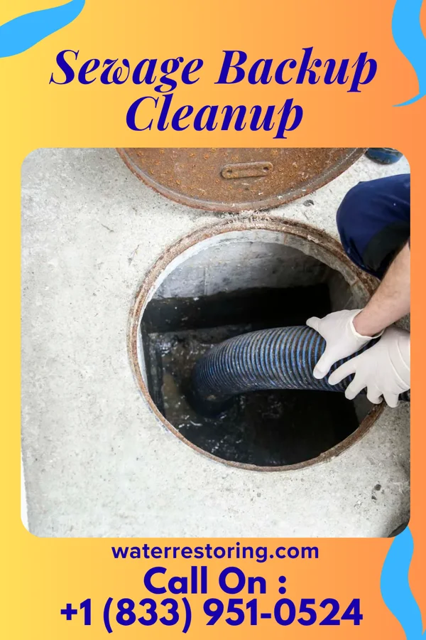 Sewage Backup Cleanup in East Hills, NY