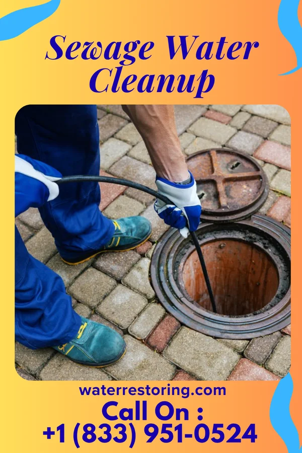 Sewage Water Cleanup in East Hills, NY