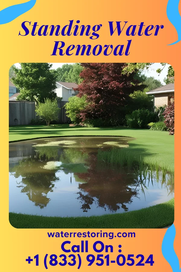 Standing Water Removal in East Hills, NY